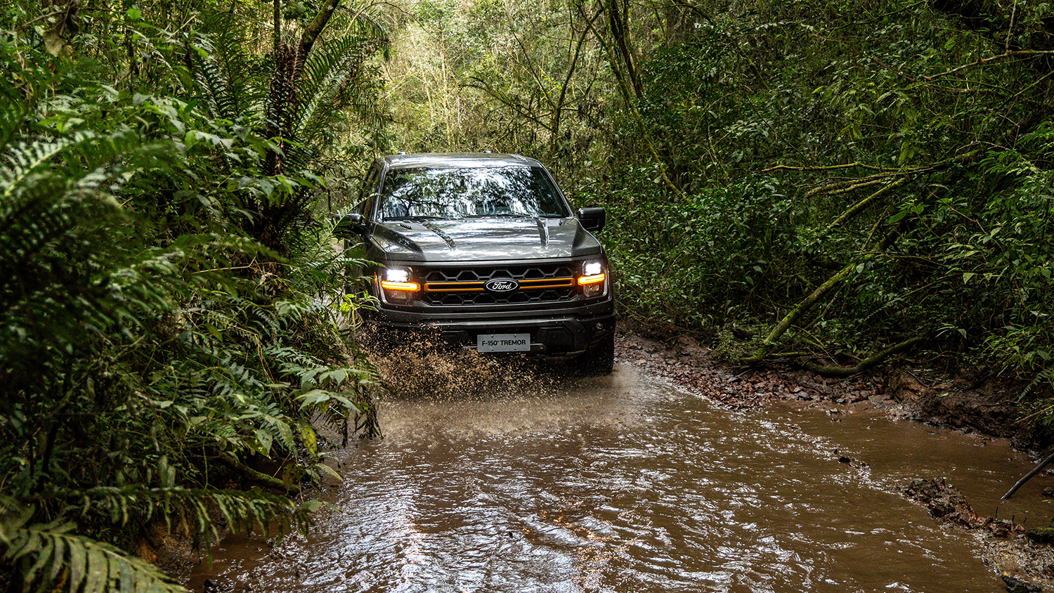 ford-f150-tremor (17)