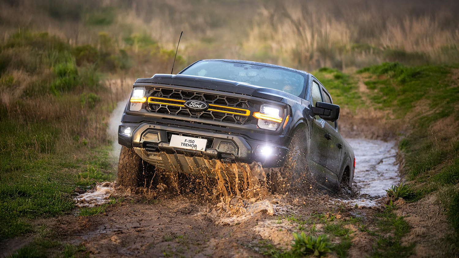 ford-f150-tremor (2)