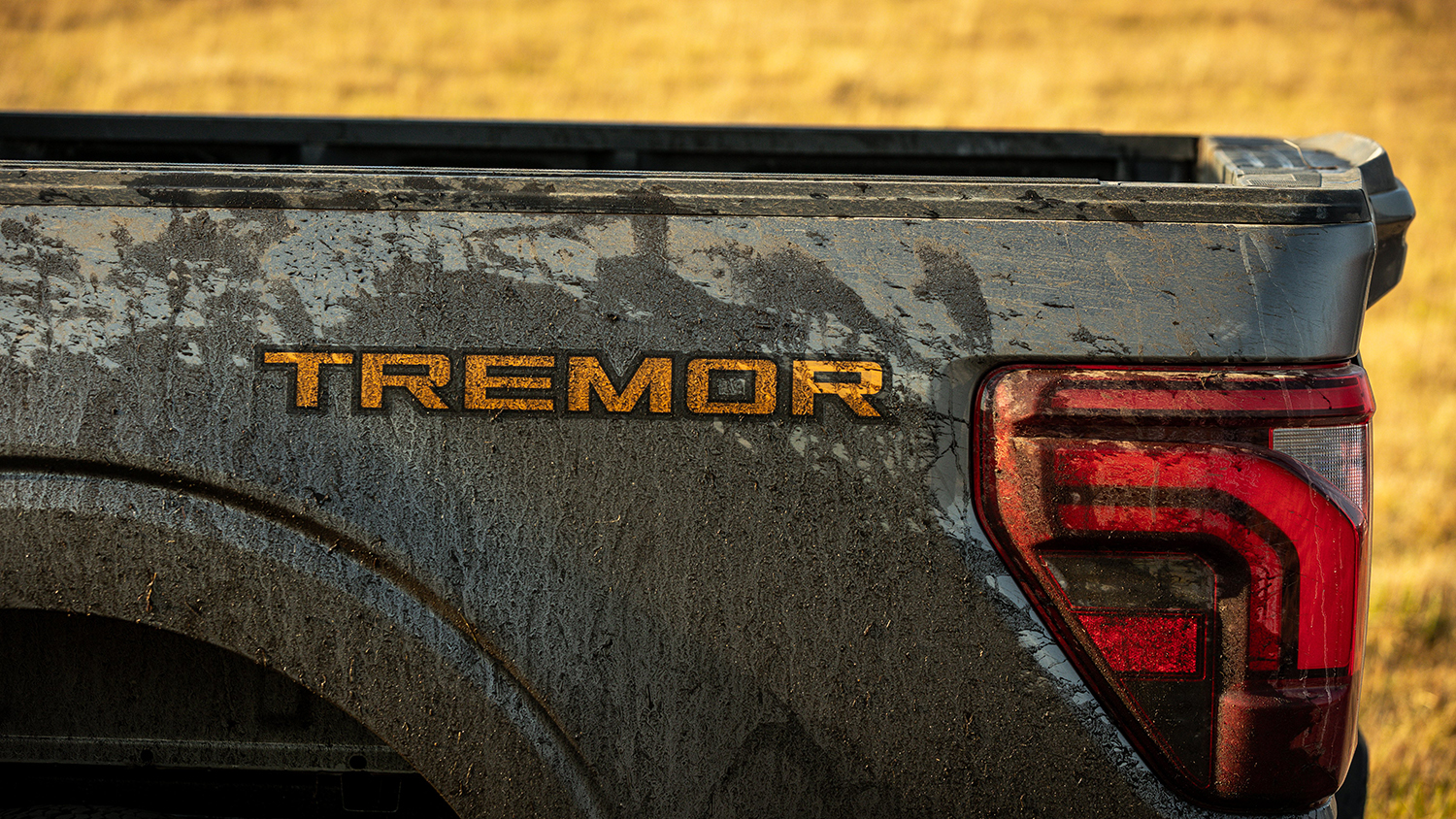 ford-f150-tremor (25)