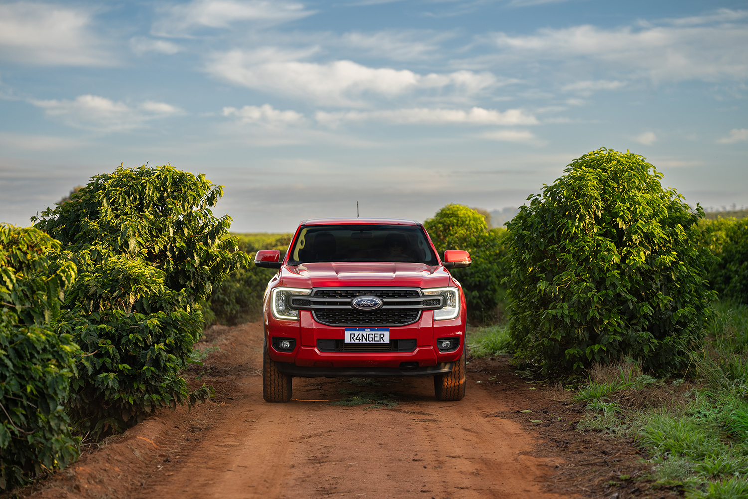 ford-ranger-xls (9)